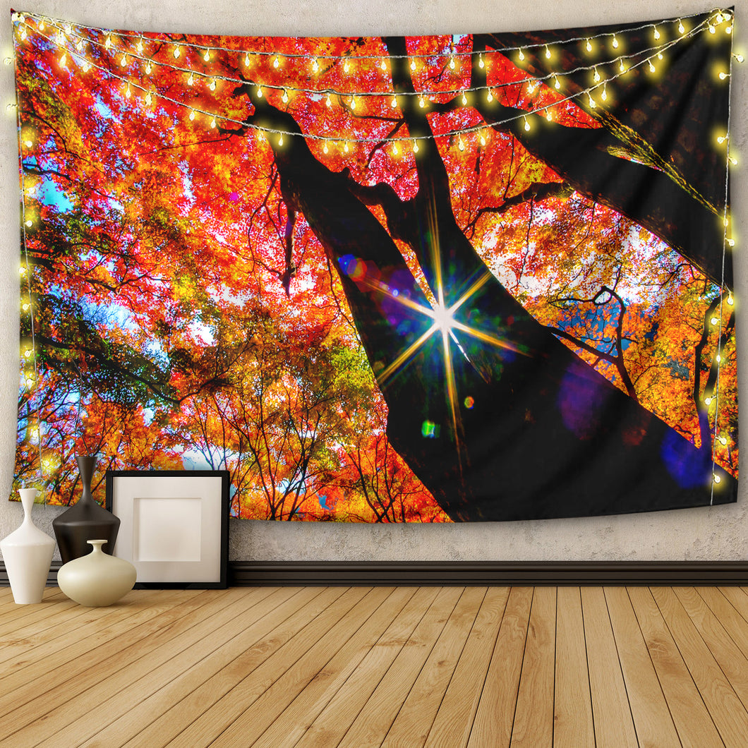 Colorful Maple Trees Tapestry